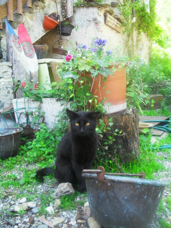 B&B Il Gatto Nero Castelveccana Luaran gambar